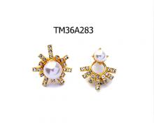 Earrings TM36A283